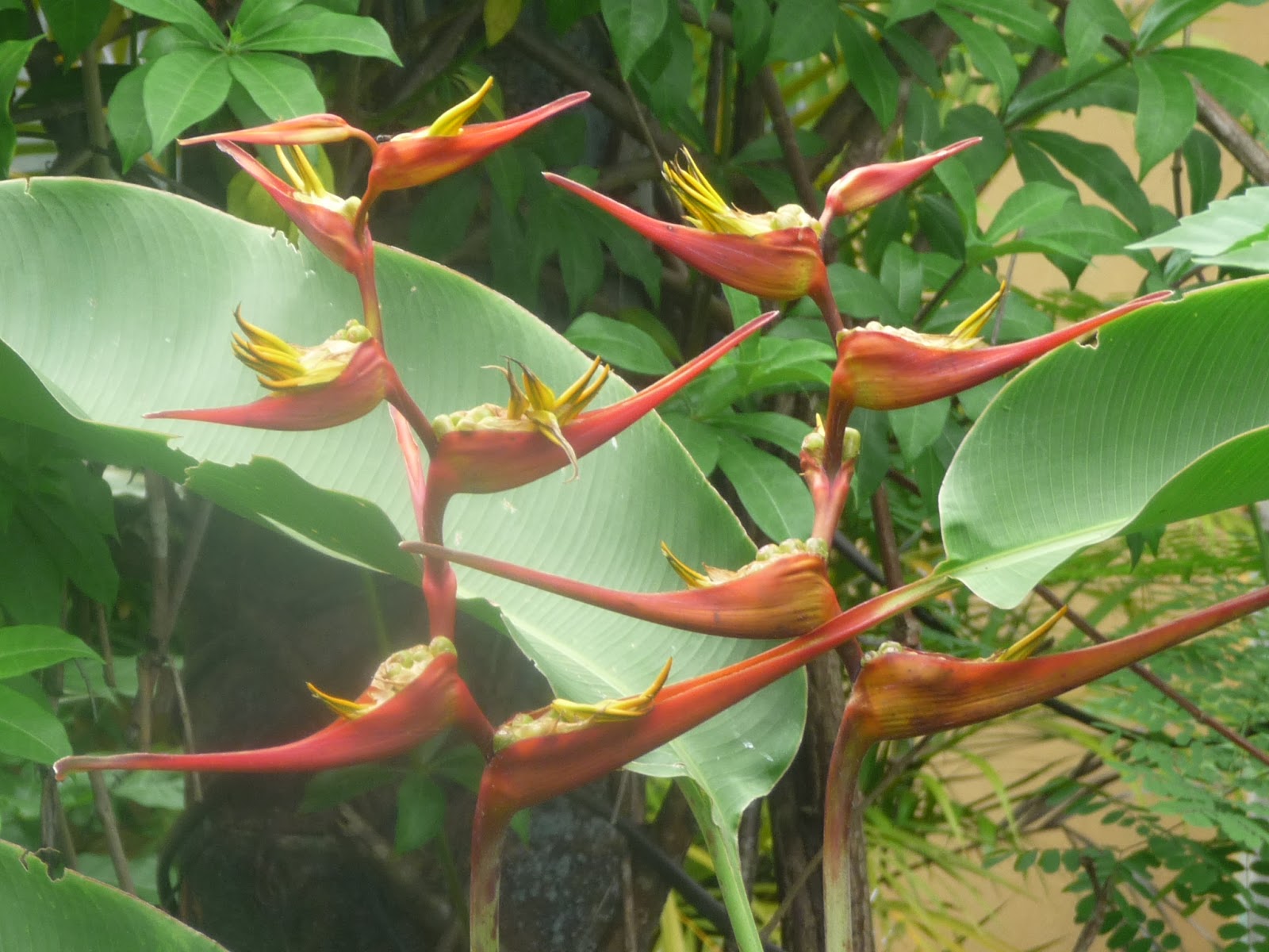 Adventures in PEI and Beyond! A Visit to the Dentist & Beautiful