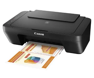 Canon PIXMA MG2555S