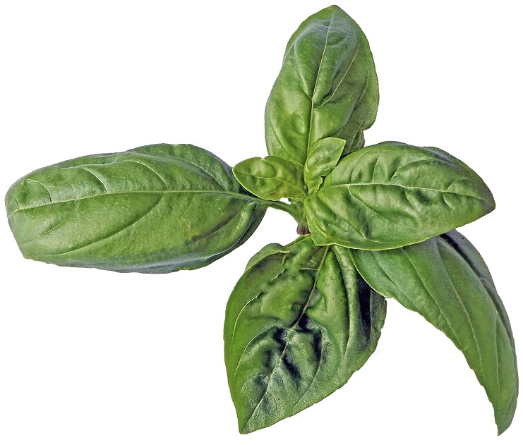 stuttgartcooking: Kräuter-Palatschinken ( Flädle ) mit einer Kürbis ... stuttgartcooking: Kräuter-Palatschinken ( Flädle ) mit einer Kürbis ...