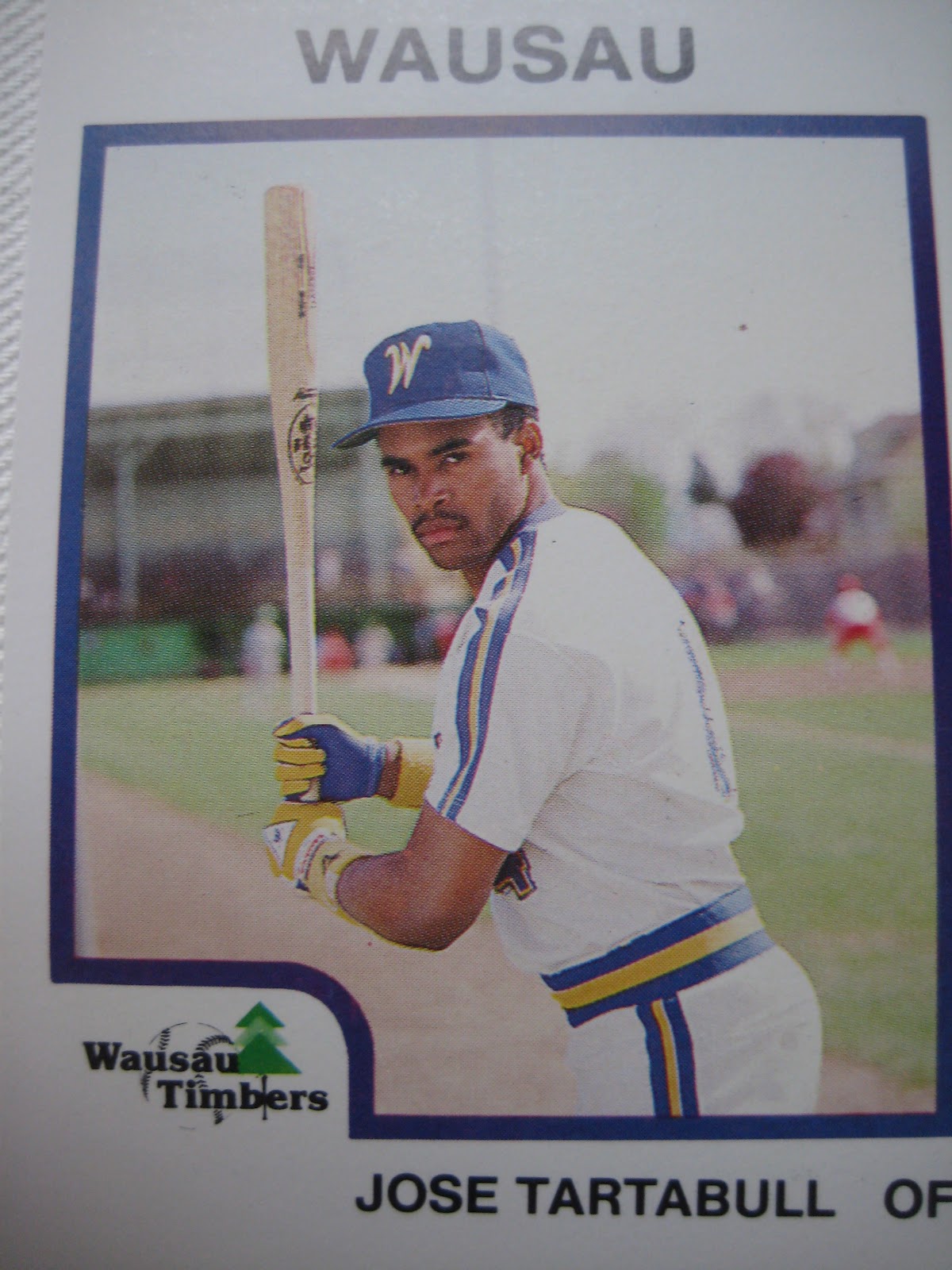 Baseball Cards Come to Life! 1987 Wausau Timbers (ProCards)