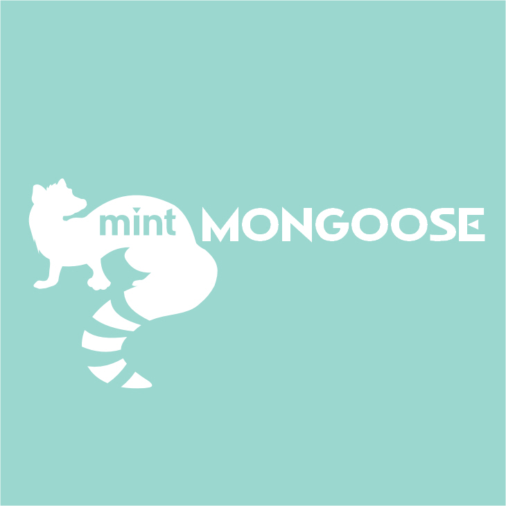 mintMONGOOSE May Jewelry Subscription Box Review | Elizabeth Anne