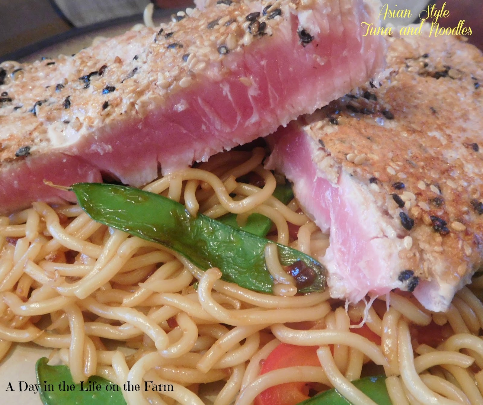 A Day in the Life on the Farm: Asian Style Tuna and Noodles featuring #