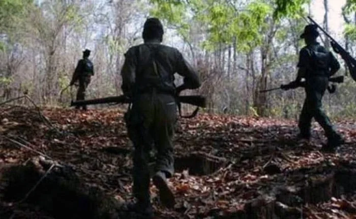 Gaya, News, National, attack, Killed, Maoists, Police, Bihar, Gunfight, Three Maoists killed in late-night gunfight with security forces in Bihar