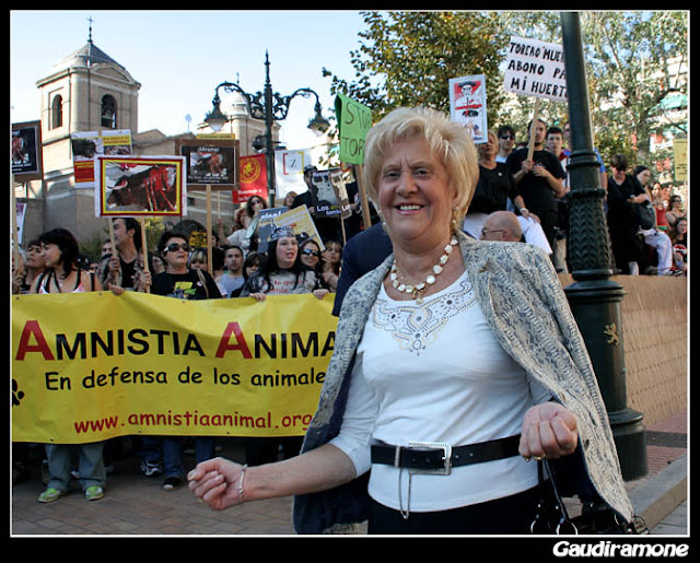 Zaragoza Antitaurina - Anti bullfighting Fiestas del pilar Remember - Contra el toro de la Vega en Tordesillas - 