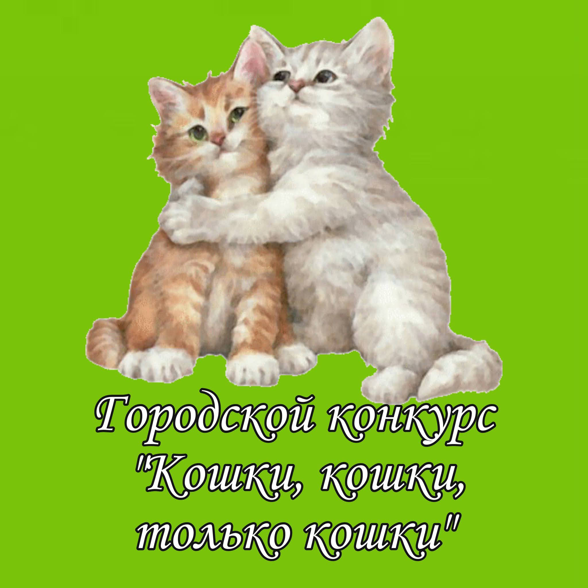 Остап бендер сувениры. Быстро только кошки рождаются. Быстро только кошки рождаются. Быстро только кошки рождаются. Черная кошка родила белых котят.