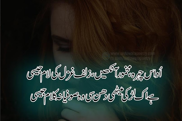 Top-10-Best-Zulf-Poetry-Urdu-Hair-Poetry-Julfe-Shayari zulf-shayari-2-lines-in-hindi