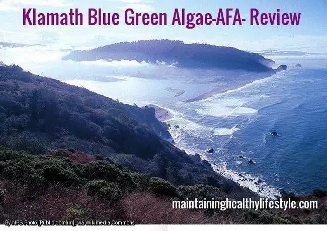  Blue green algae” border=