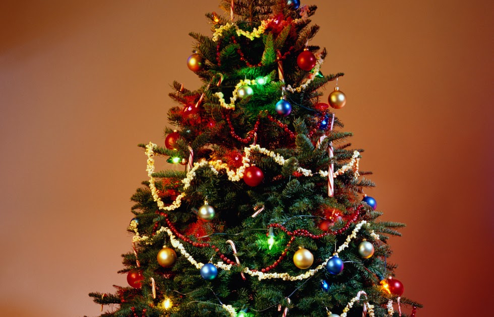 Другие елки. Другие елки. Другие елки. Креативные елки в полный рост. Елка в центре риги.