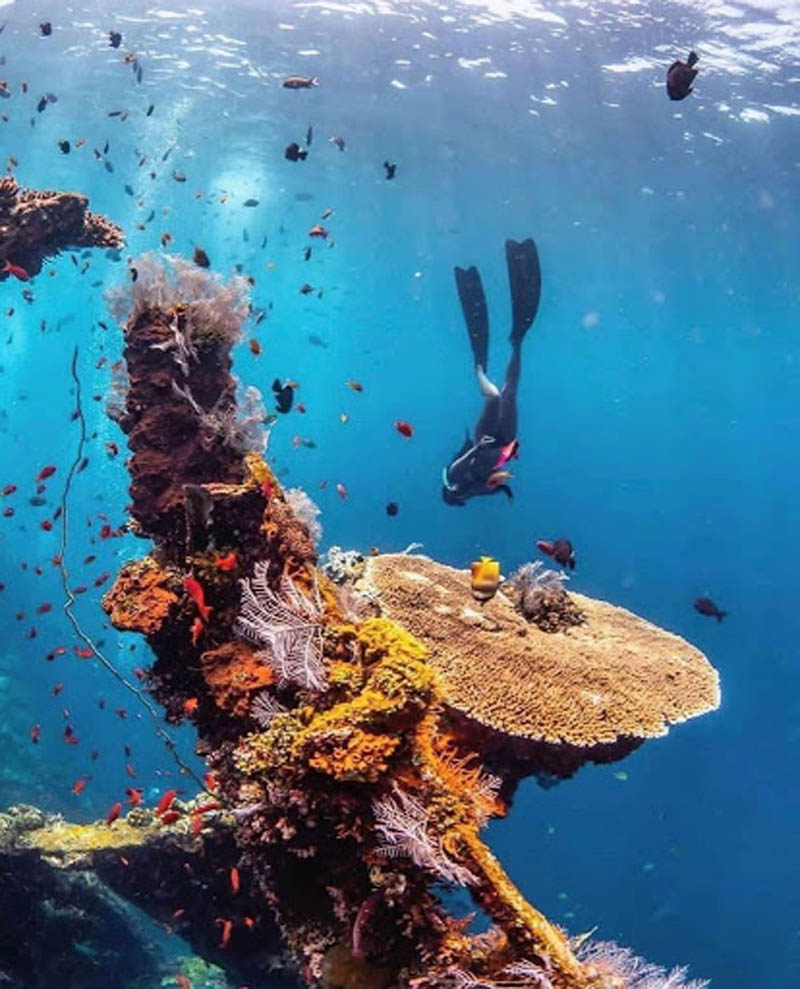 The absolute best places to dive in Bali