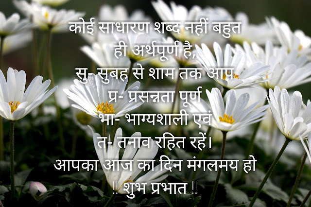 New Good Morning shayari | Good Morning shayari in Hindi  | Good Morning shayari