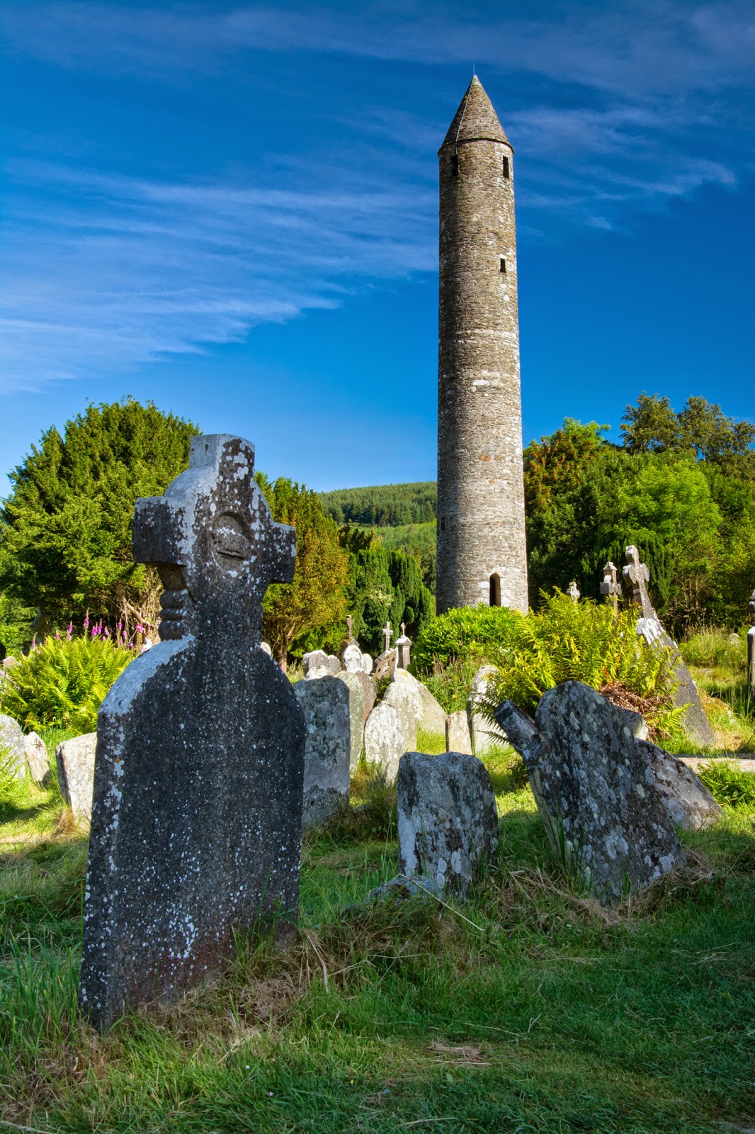 A Tree Falling Glendalough and Waterford