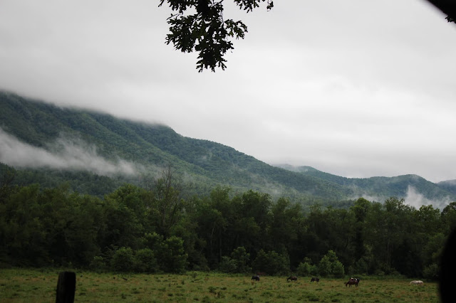 side view of mountains with mist cades cove rainy day