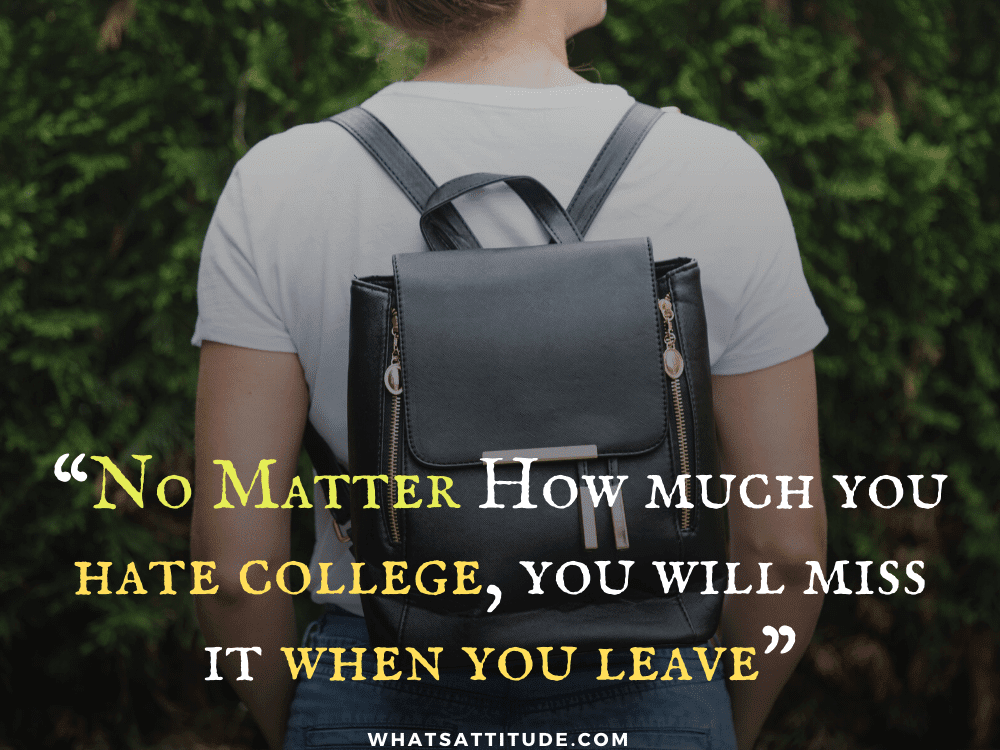 Download 13 Best Last Day Of College Quotes End Of College Life Quotes For Free Get Wallpaper 13 Best Last Day Of College Quotes End Of College Life Quotes For iPhone Free