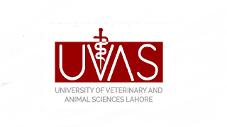 www.uvas.edu.pk Jobs 2021 - Institute of Biochemistry & Biotechnology UVAS Jobs 2021 in Pakistan www.uvas.edu.pk Jobs 2021 - Institute of Biochemistry & Biotechnology UVAS Jobs 2021 in Pakistan