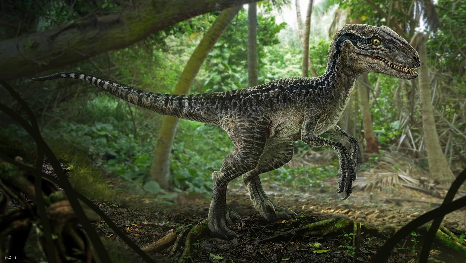 Pax Jurassico Velociraptor 