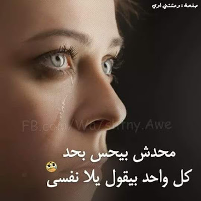 shof_9482f704cf976de