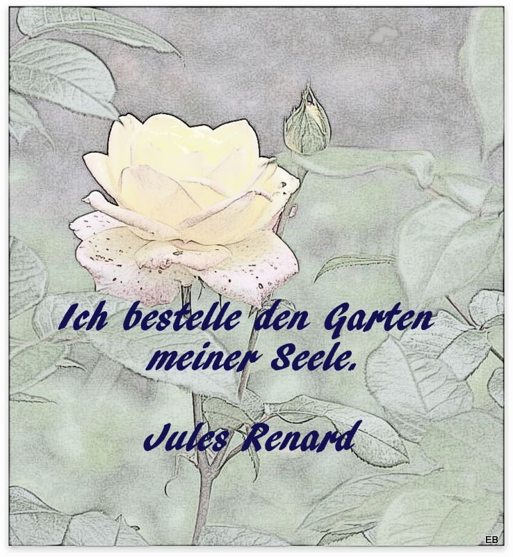 Klarchen Oktober 2015