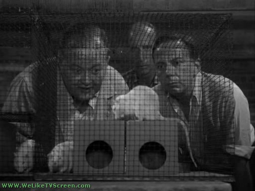 alfred hitchcock presents de mortuis alfred hitchcock presents de mortuis