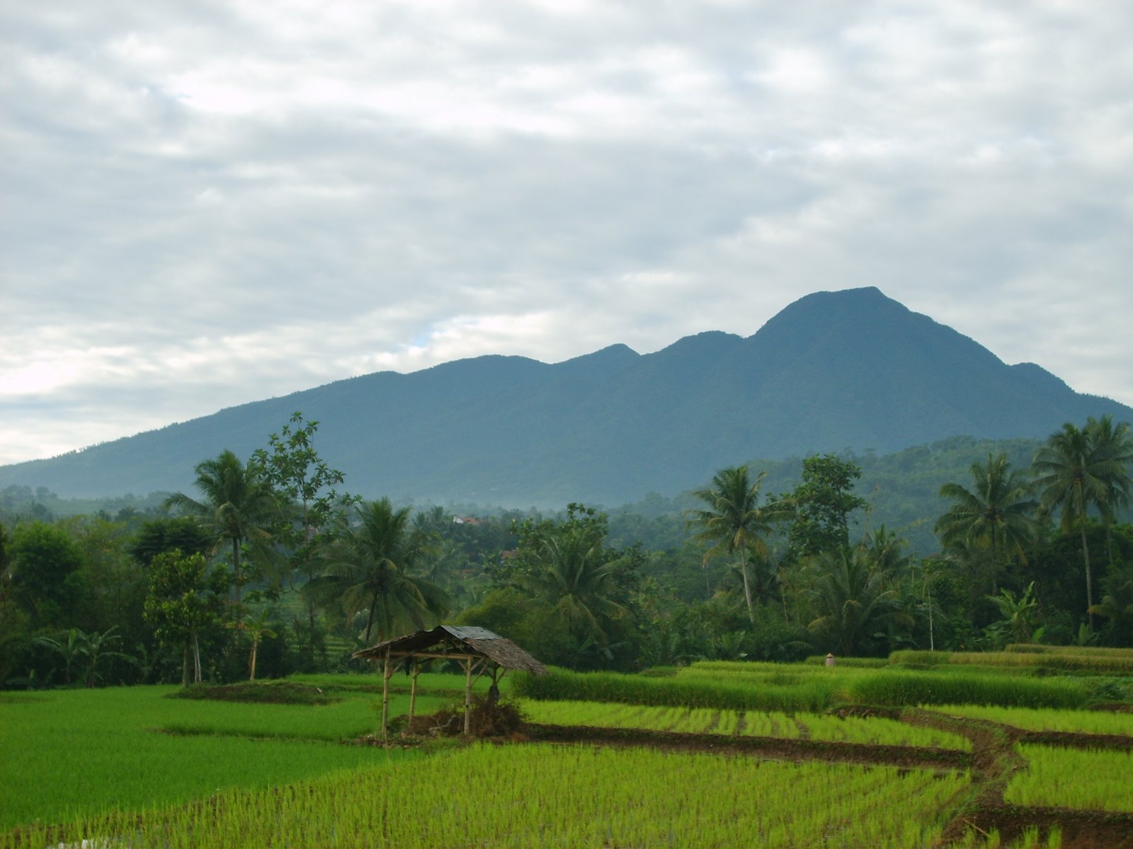 Gunung Salak Bogor - Homecare24