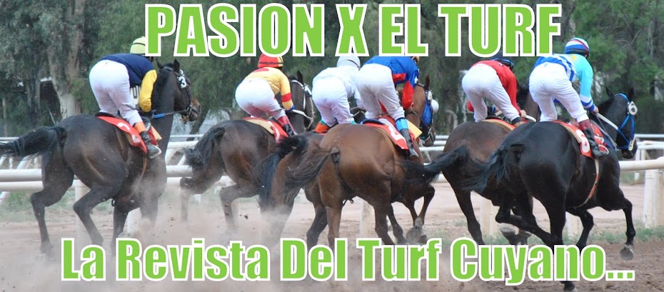 Revista Pasion X El Turf