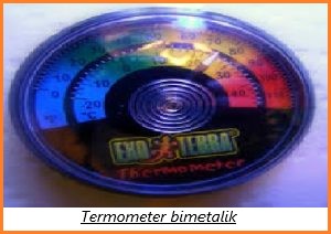 termometer bimetalik