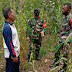Wujudkan Han Pangan di masa Pendemi, Koramil 0910-04/Pujungan bersama warga Tanam Jagung.