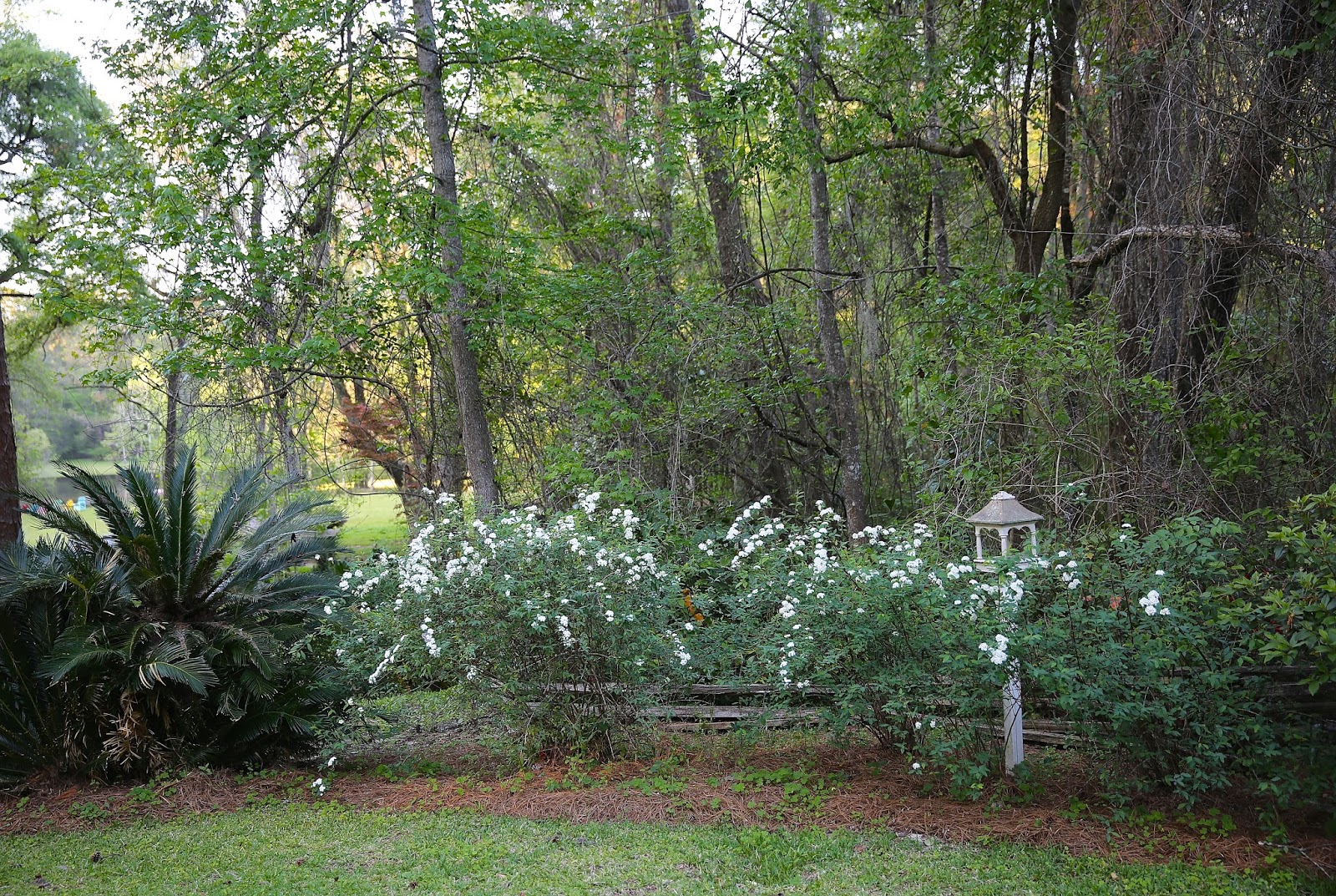 Blog Marrazzo S Manor Lane Florist Yardley Pa