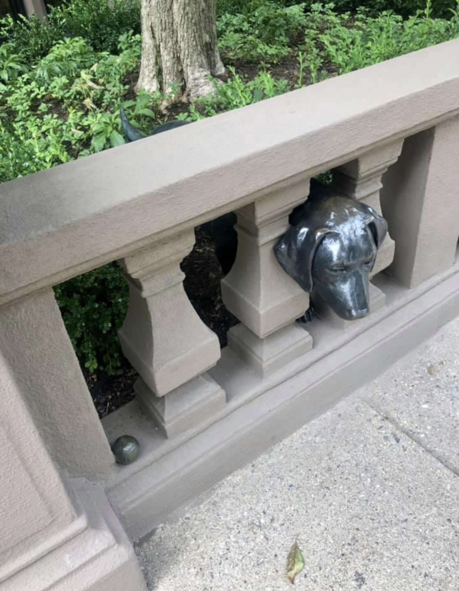 Mujer pasa junto a una estatua misteriosa con la historia más dulce detrás