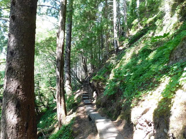 the Mt. Dewey Trail in Wrangell, Alaska the Mt. Dewey Trail in Wrangell, Alaska
