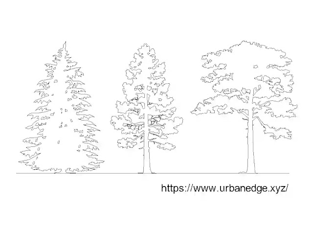 Pine tree elevation free cad blocks download