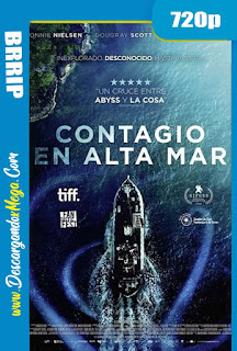 Contagio en Alta Mar (2020) HD [720p] Latino-Ingles
