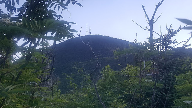 Point de vue sur le mont Orford à partir du sentier du ruisseau Deschênes.