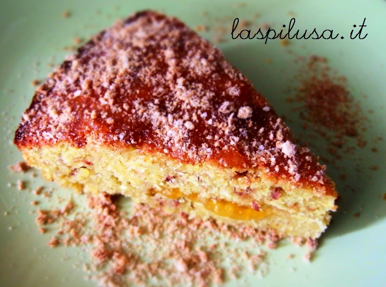 Torta con farina di mais amaretti e marmellata di albicocca