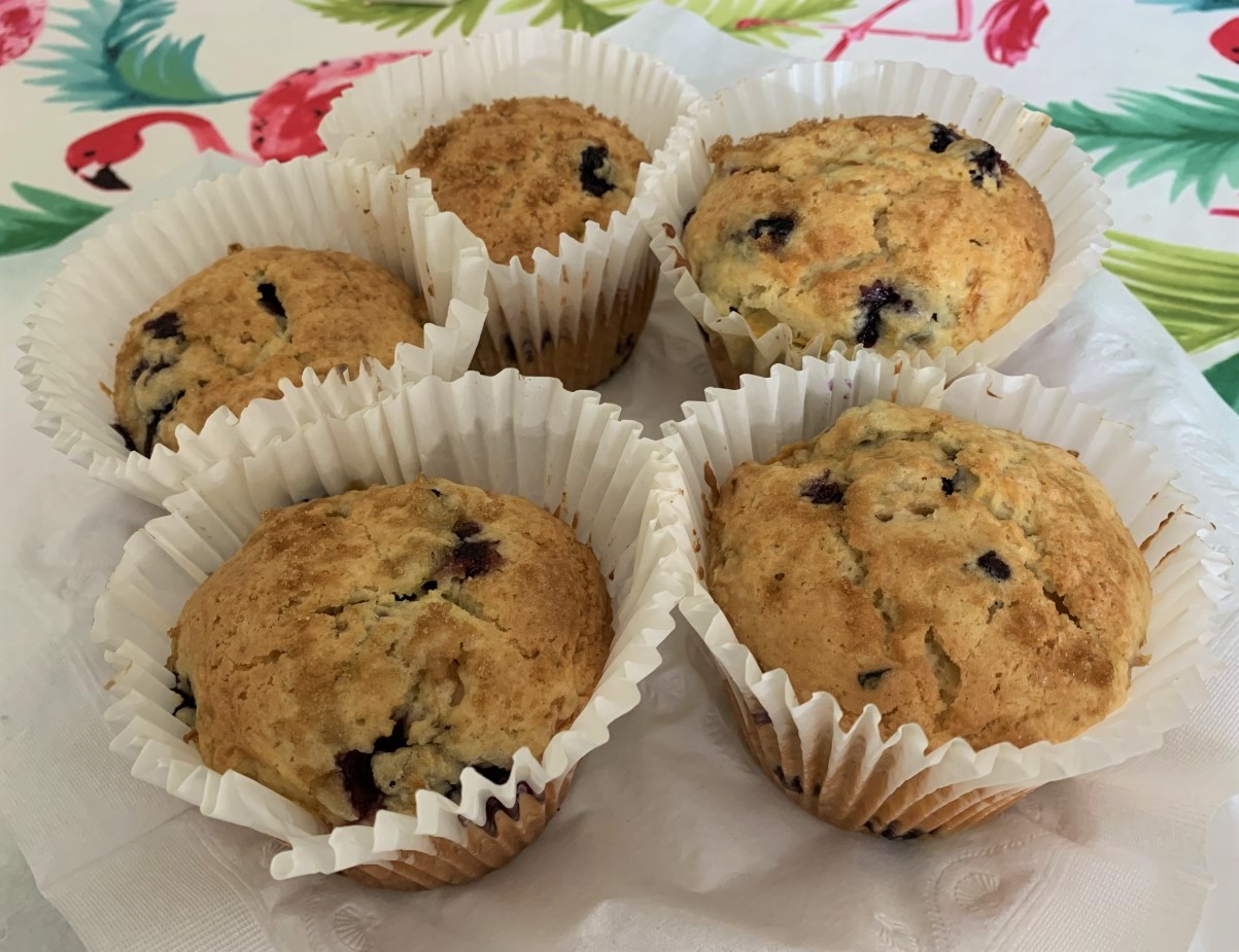 Best of Long Island and Central Florida Texas Sized Blueberry Peach