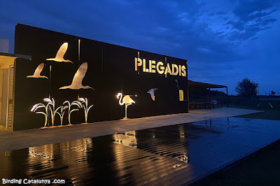 Fundació Plegadis