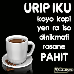 DP BBM Bergerak Kopi Terbaru | Grosir DP BBM Terbaru 2019