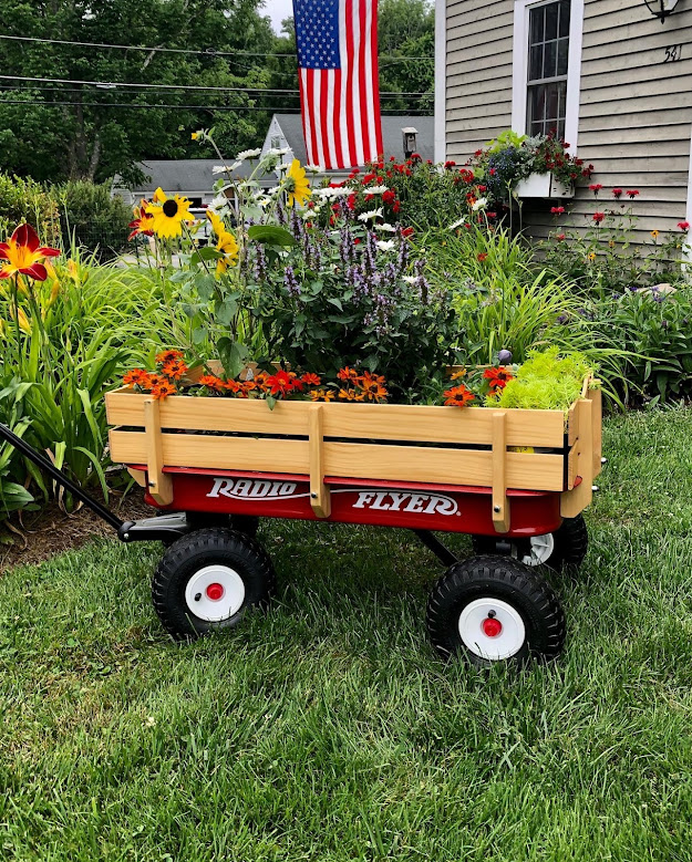 The Long Awaited Home: Gardens, Dogs and Little Red Wagons