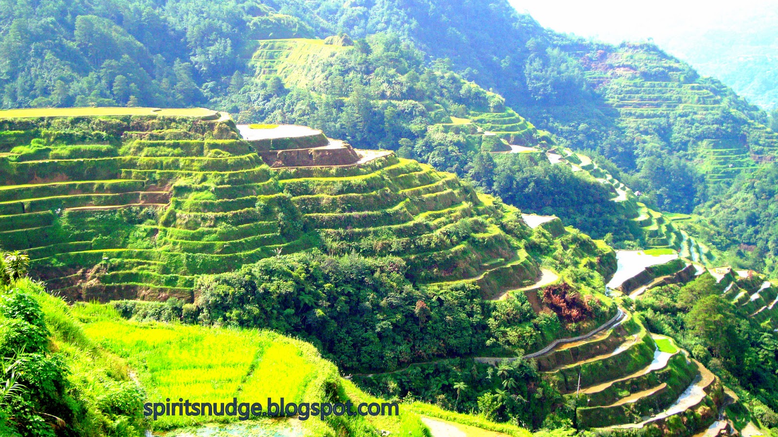 Banaue Rice Terraces A Tour Like No Other banaue-rice-terraces-a-tour-like-no-other