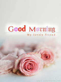 read rose good morning images 