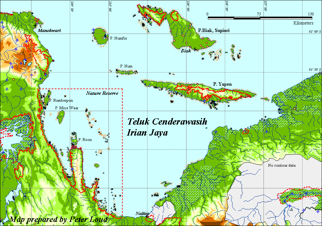 TINTA HATI 313 RAHSIA TERSURAT PULAU CENDERAWASIH
