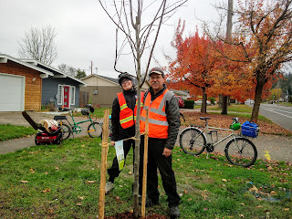 Kent's Bike Blog: Bicycle Tree Planting with Friends of Trees