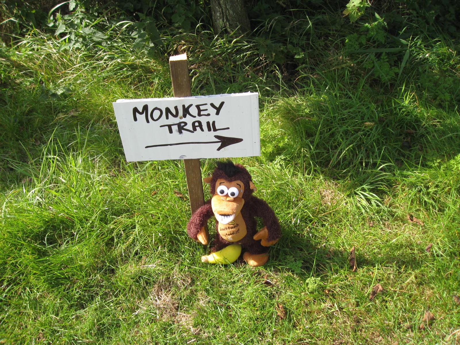 the-orchard-tea-room-farm-shop-2016