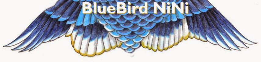 BlueBird Nini