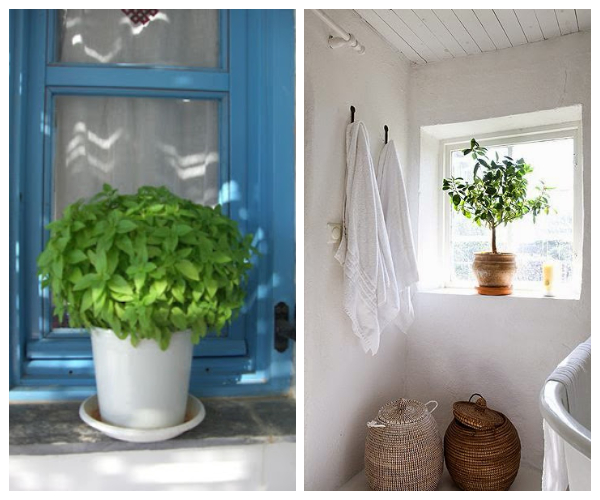 NHSIOTIKO STYL DIAKOSMHSHS SPITIA SE NHSI