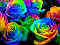 rose colorful wallpapers desktop backgrounds roses rainbow coloring draw science colored project flower dying keywords