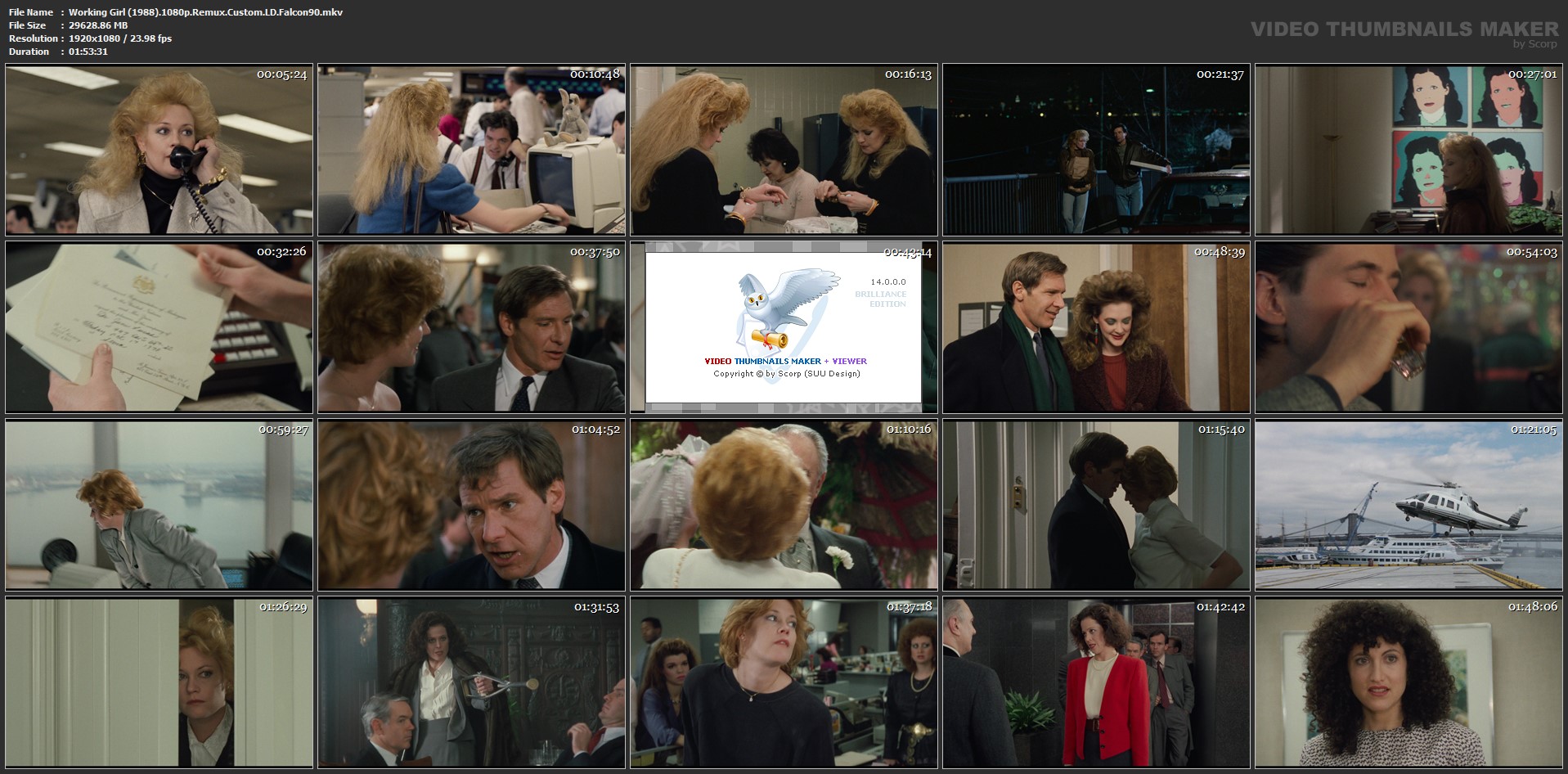 Writers Guild Of America Award Du Meilleur Scénario Adapté MicMacRepacks: Working Girl (1988).1080p.Remux.Custom.LD.Falcon90