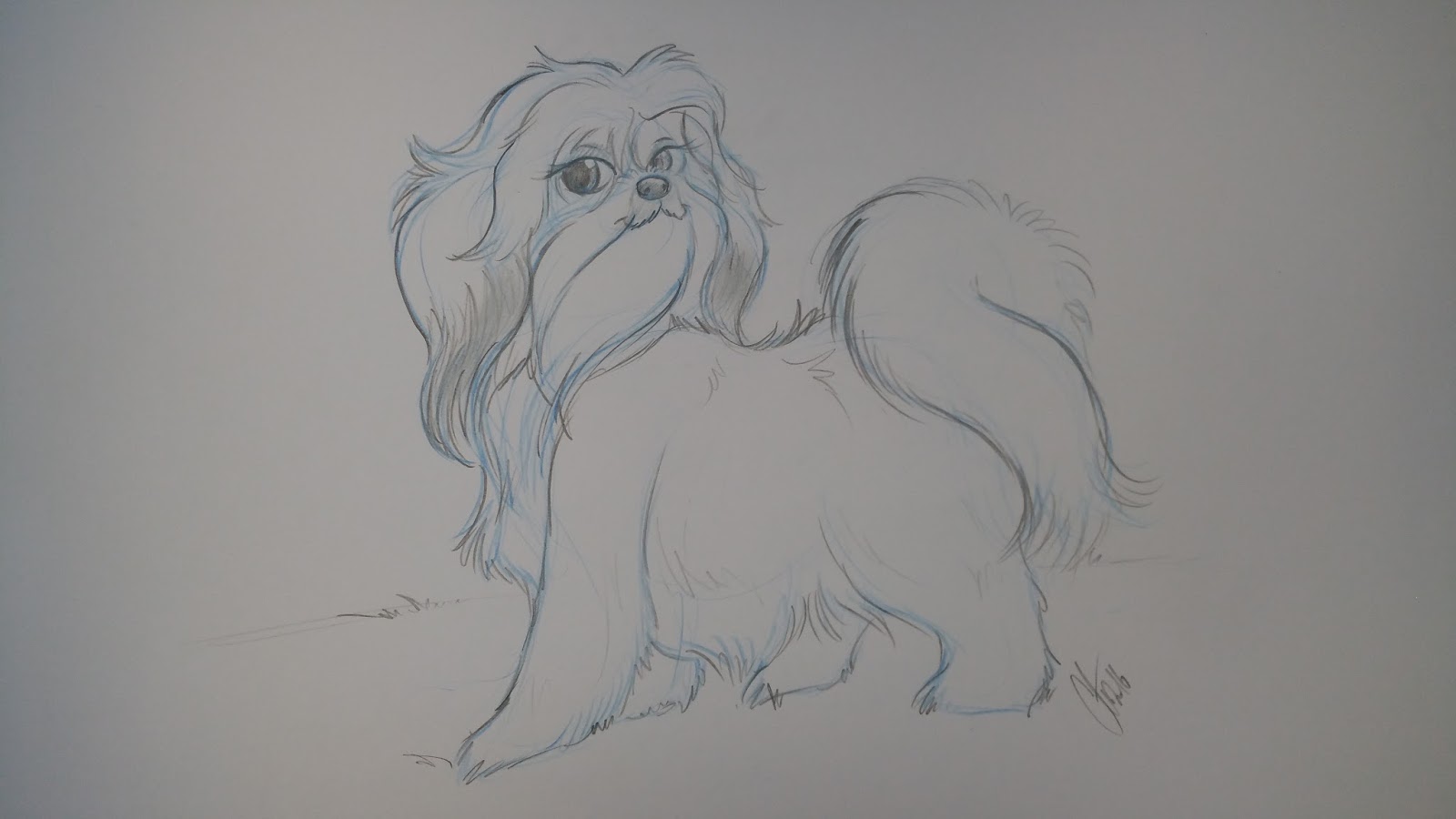 Doggie Fashions The Trentham Estate Staffordshire Paws across Britain