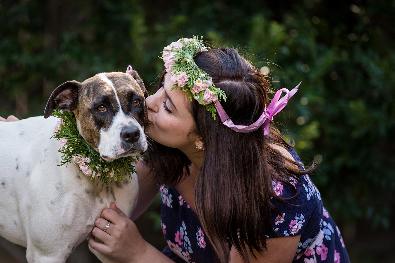 PETstock Pet Adoption Day 2019 - February 9 | Australian ...