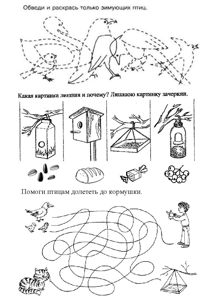 Задания логопеда по теме зимующие птицы. Задания логопеда по теме зимующие птицы. Зимующие птицы задания для дошкольников логопед. Зимующие птицы логопедические задания. Задания логопеда по теме зимующие птицы.